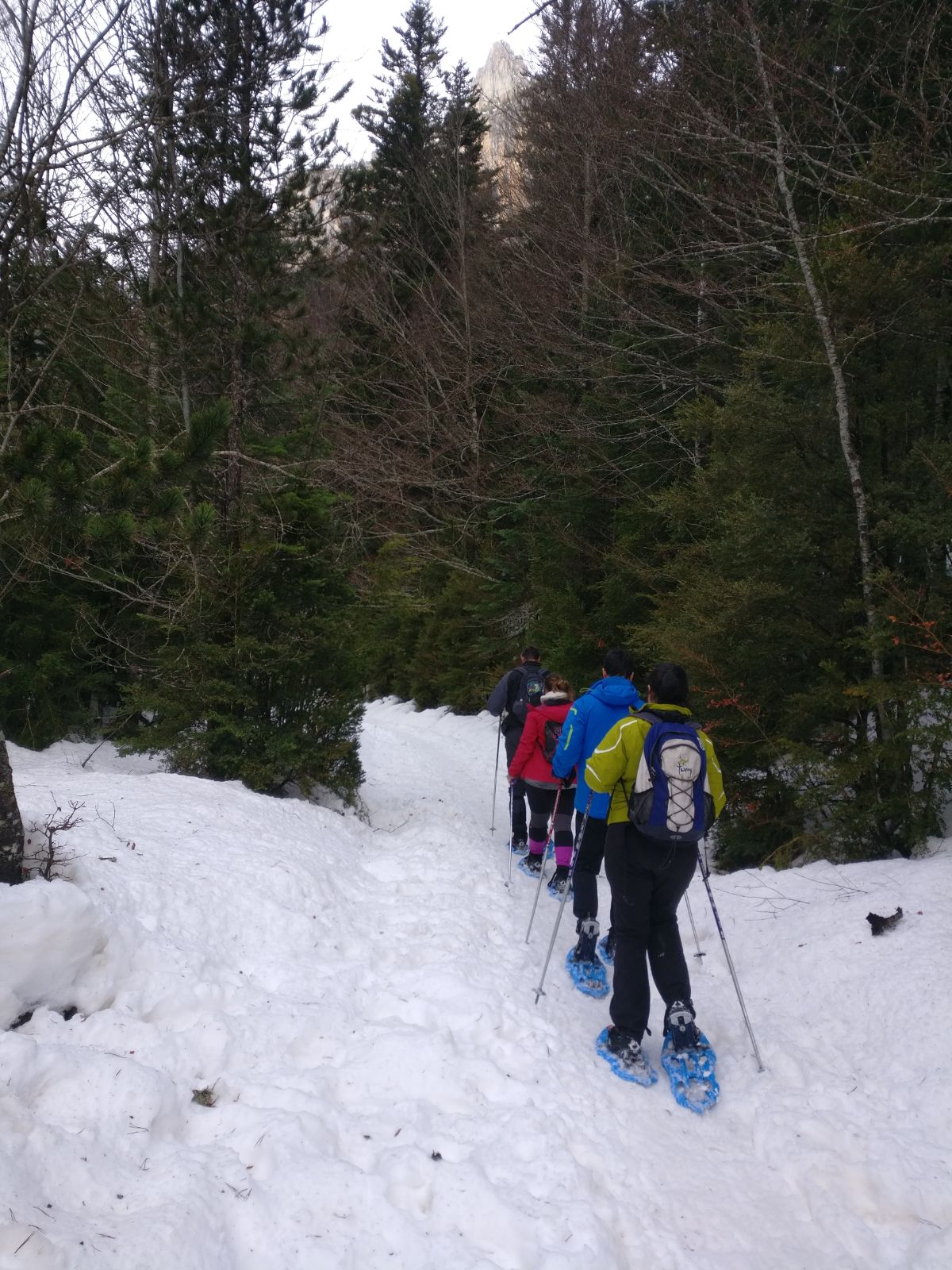Ruta con raquetas de nieve en el Valle de Ordesa en invierno