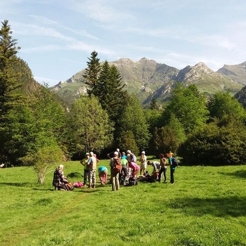 Senderismo valle de otal en bujaruelo 1 en el Pirineo Aragonés | Guías de Torla Ordesa